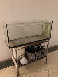 Acquario 200l