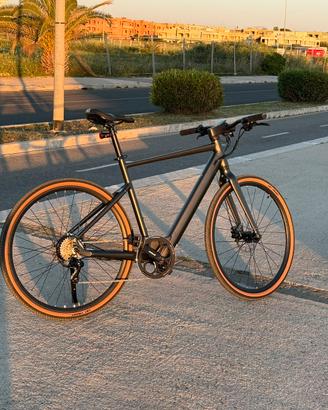 Fiido C21 Gravel