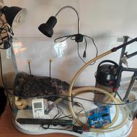 ACQUARIO COMPLETO