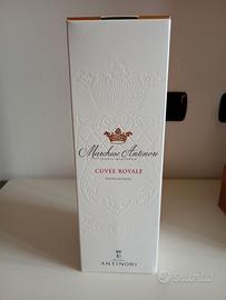 bottiglia magnum franciacorta