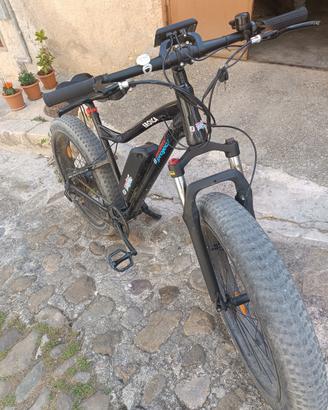 Bicicletta elettrica