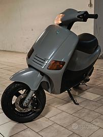 Zip Fast Rider 50