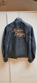 giubbino  pelle harley davidson 