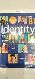libro di inglese Identity B1