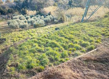 Terreno di 1200 metri quadri