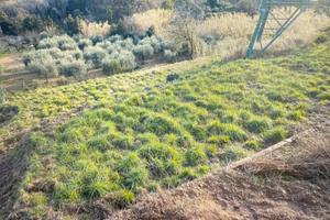 Terreno di 1200 metri quadri