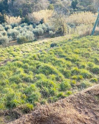 Terreno di 1200 metri quadri