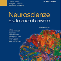 Neuroscienze