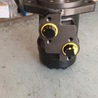 Motore idraulico 100