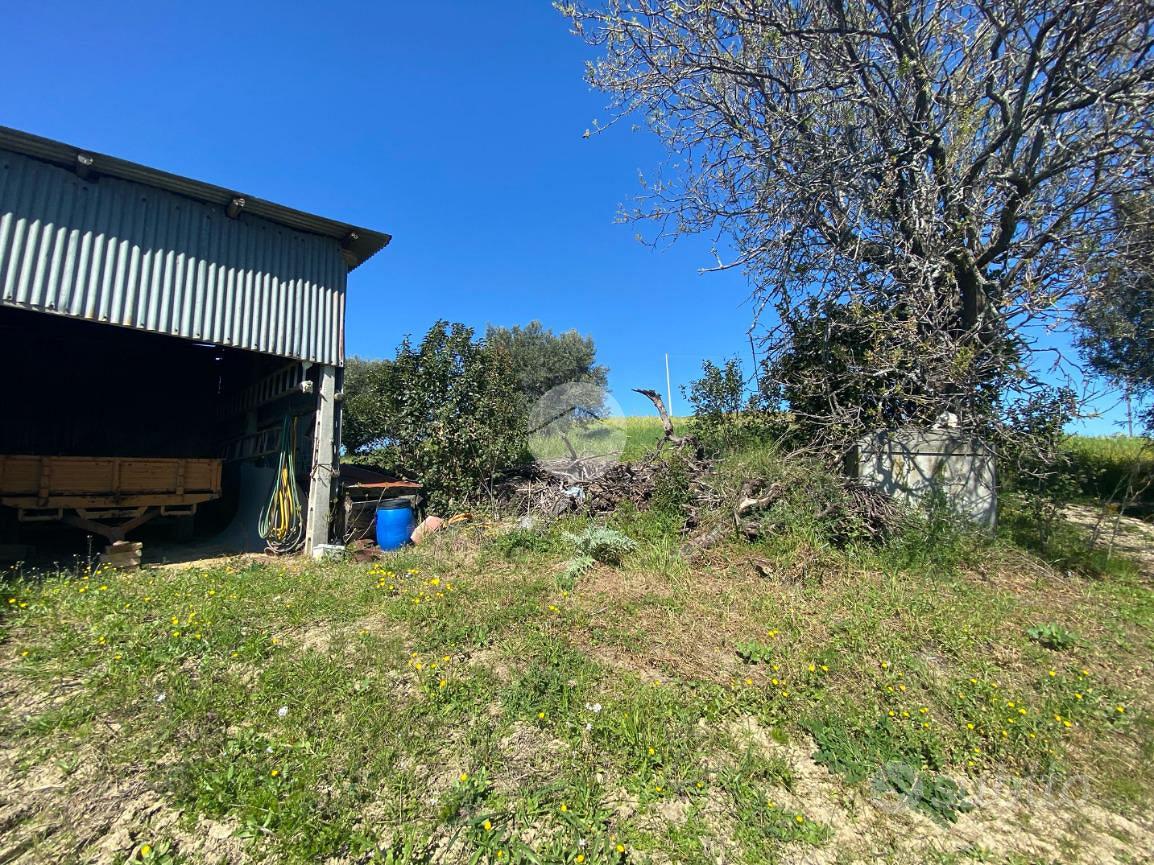RUSTICO A OFFIDA - Vista 3