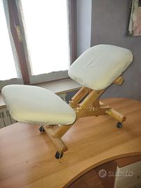 sedia ergonomica 