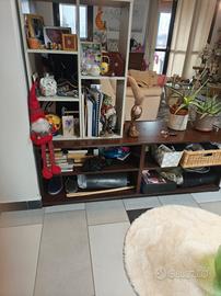 mobile ingresso/libreria 