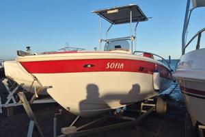 Barca a motore con carrello in acciaio