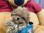 Immagine 1