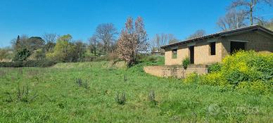 terreno agricolo con rustico