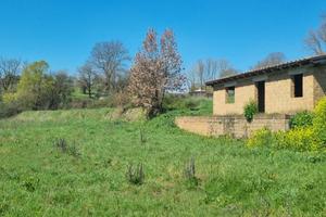 terreno agricolo con rustico