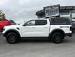 Ford Ranger Raptor 2.0 210cv possibilità noleggio 