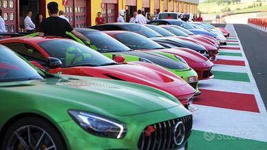 Tour on the track with supercars. VIP treatment