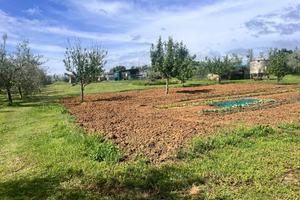 Terreno agric. a Cecina