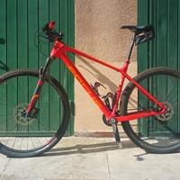 Mountain Bike CUBE RAVEN