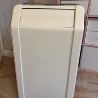 Pinguino condizionatore