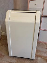 Pinguino condizionatore