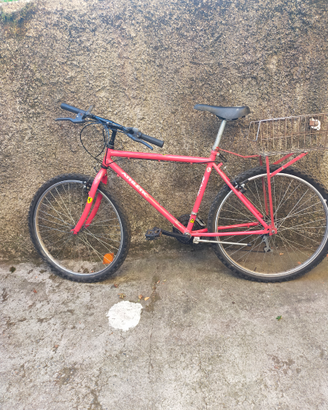 Mountain bike