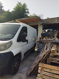 Fiat ducato 115 CV