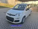 fiat-panda-promo-finanz-1-0-hybrid-icon-5-post