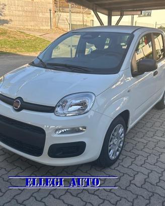 FIAT Panda PROMO FINANZ. 1.0 HYBRID ICON 5 post