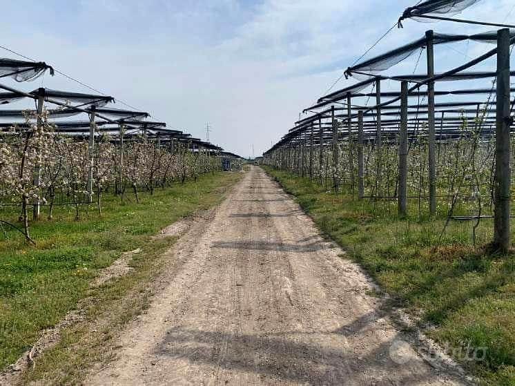 RGE 133/2022 Tribunale Verona - Lotto 6) - Vista 3