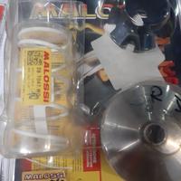 Variatore Multivar per scooter Malossi 5111561
