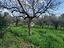 Immagine 15