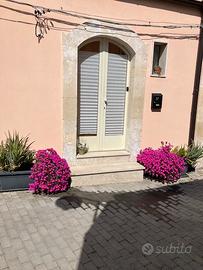 Appartamento monolocale