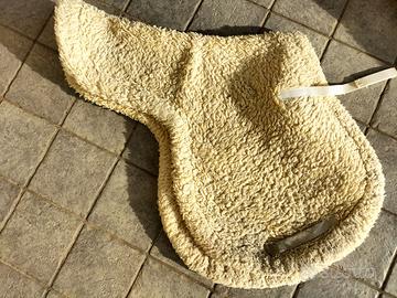 agnellino salvagarrese