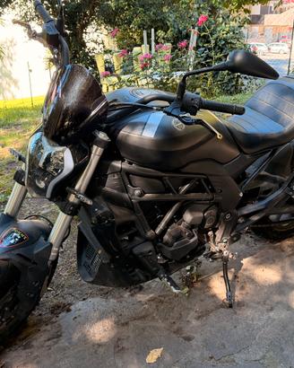 Harley Davidson