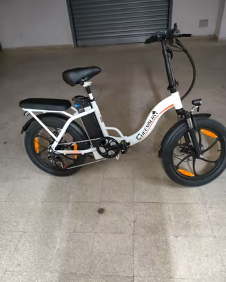 Bici elettrica
