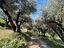 Immagine 12