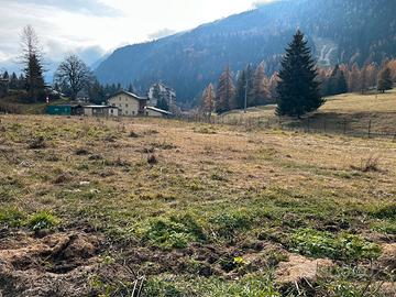 Vendita terreno a Gressoney Saint Jean (AO)