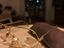 Immagine 3