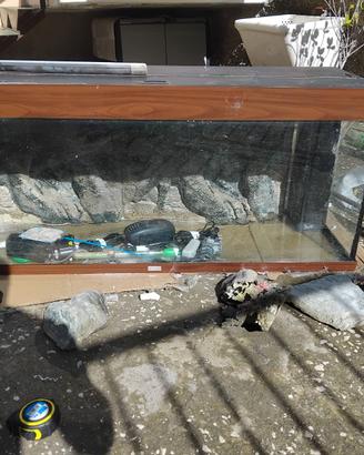 Acquario + mobiletto