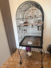 Gabbia per pappagalli