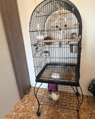 Gabbia per pappagalli