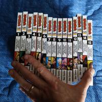 Manga My Hero Academia Illegals: Vigilante