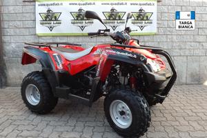 Adly ATV 320