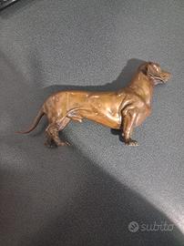 cane bassotto