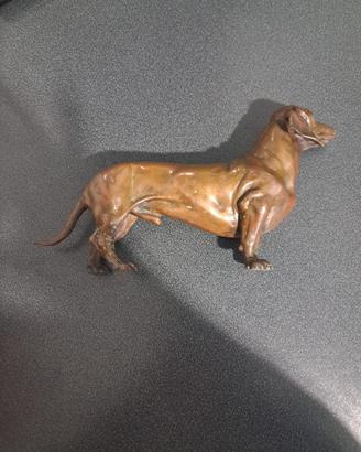 cane bassotto