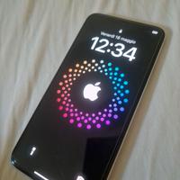 Iphone 11 pro max 256gb batteria 100%