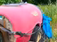 Immagine 15
