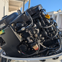 Fuoribordo 4 tempi Tohatsu 40 Mega